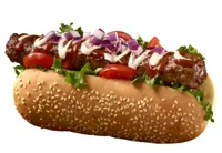 STABBURET KEBAB BURGER DOG 70X100G