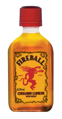 FIREBALL CINN PET 16,5% 5CL