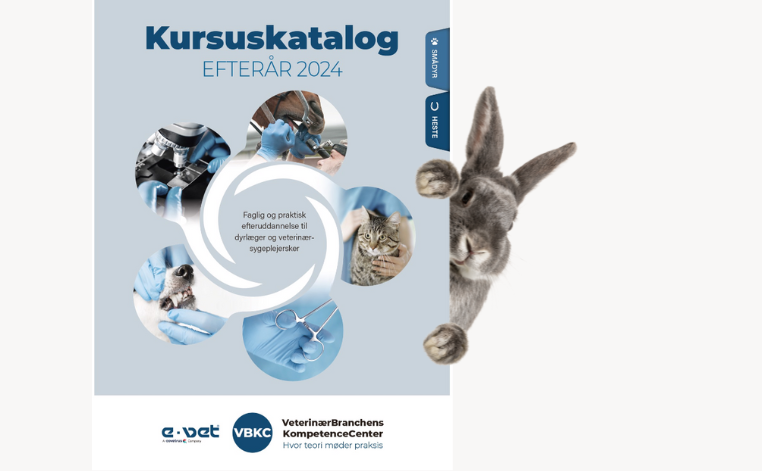 Kursuskatalog til Kursusside.png