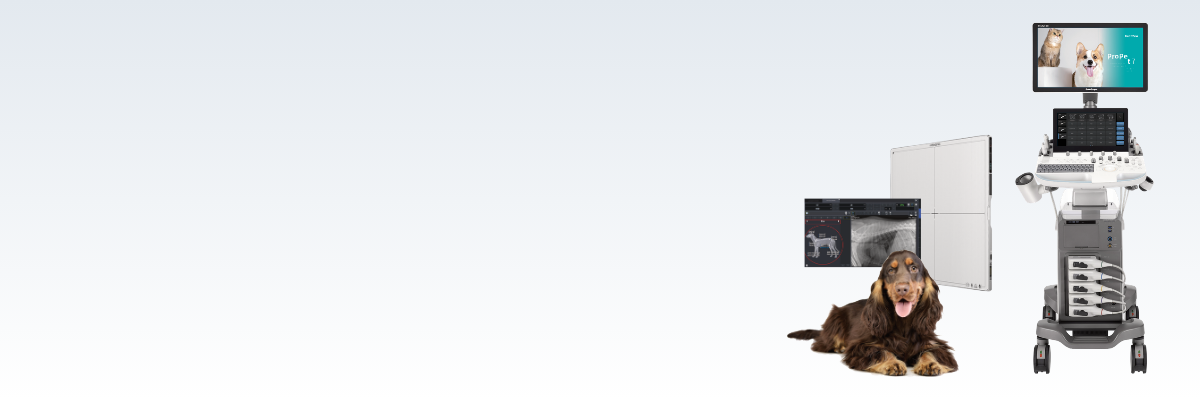 Design uden navn (4).png