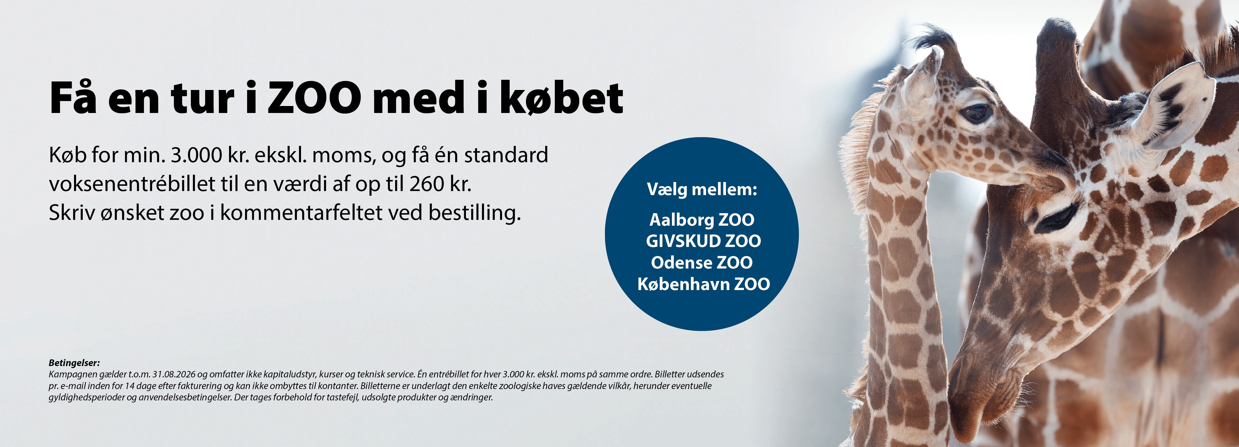 21637_E-vet_Zoo_Webbanner.png