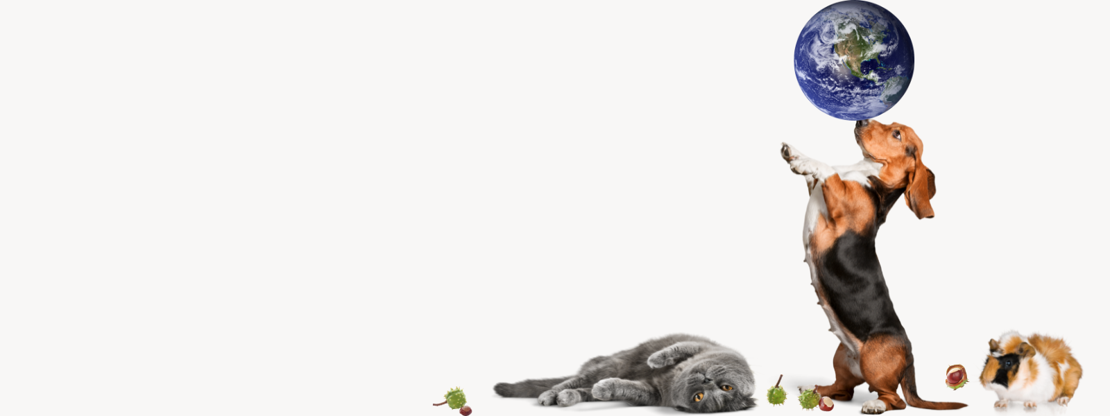 Unavngivet (1600 × 600px) (4).png