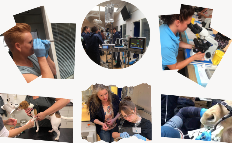 Design uden navn (40).png