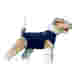 Body-stocking, Medical Pet Shirt®, Hund, XS, Blå, 1 stk.
