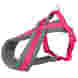 Premium touring harness, M–L: 50–90 cm/25 mm, fuchsia
