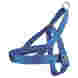 ¤Premium norwegian harness, L–XL: 68–88 cm/50 mm, royal blue