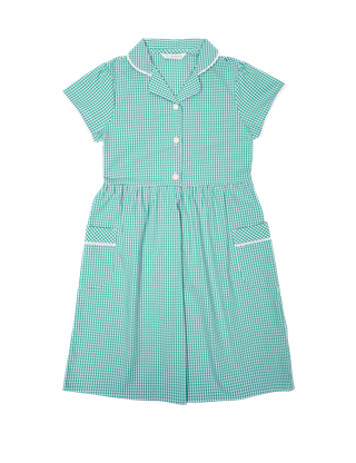 Girls green hot sale gingham dress