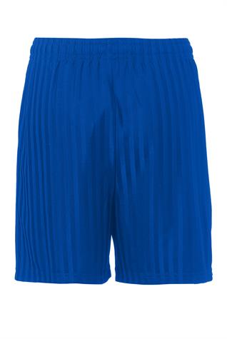 Unisex Plain Polyester Royal Blue Sports Shorts