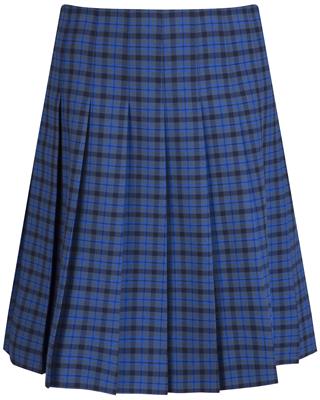 Blue hotsell skirt checked