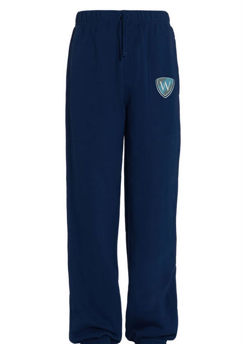 Blue online uniform joggers