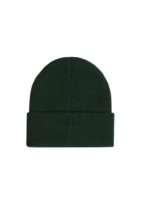 Boys green winter deals hat