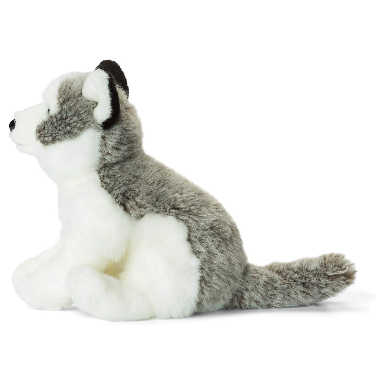 هاسكي 23 سم - دبليو دبليو إف