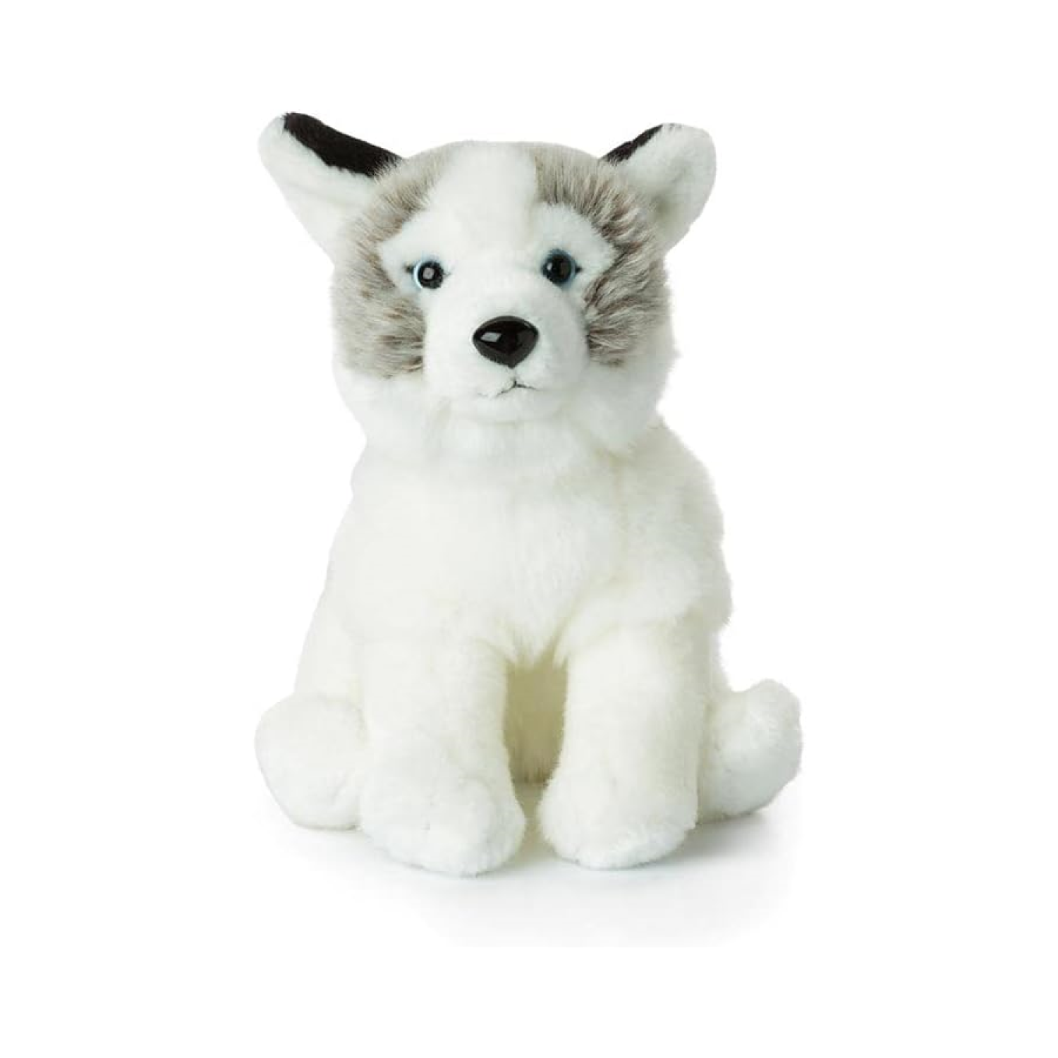 هاسكي 23 سم - دبليو دبليو إف