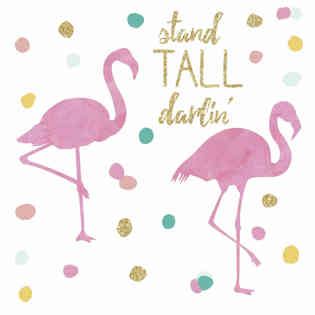 روم ميت - ستاند تول فلامنغو قابلة للصق على الجدارمع لماع