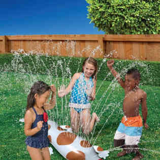 BANZAI - PUPPY BACKYARD CRITTER