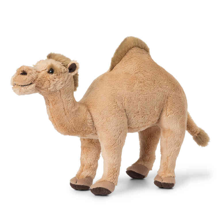 WWF Camel Brown - 30 cm ,The Official Toys”R”Us Site-Toys,Games,Baby  Gear & More
