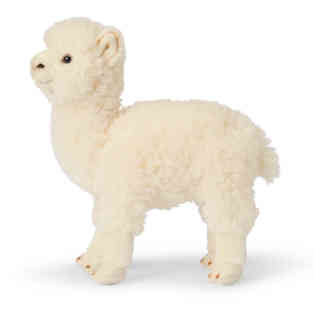 دبليو دبليو إف - ألابكا مقاس 28 سم