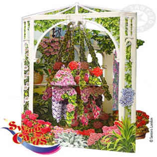 SANTORO - Hanging Basket