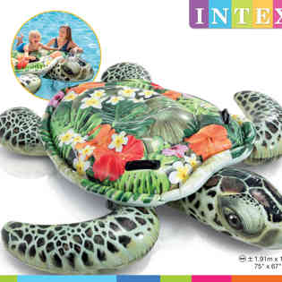 انتكس - ركوب سلحفاة بحرية