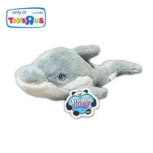 انيمال الي - دولفين