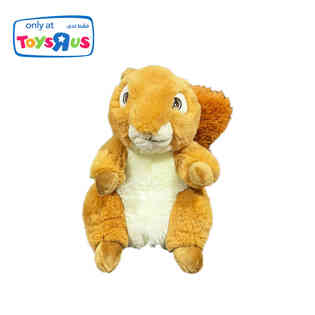 انيمال الي - سنجاب