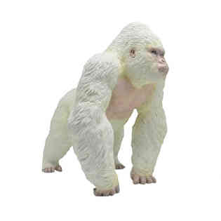 ريكور - غوريلا