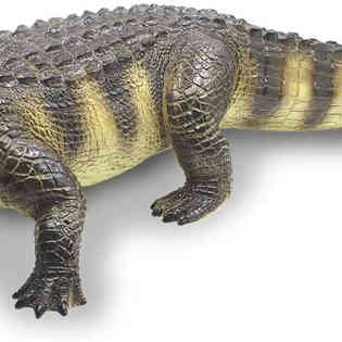 ريكور - التمساح