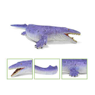 ريكور - تايلوصور