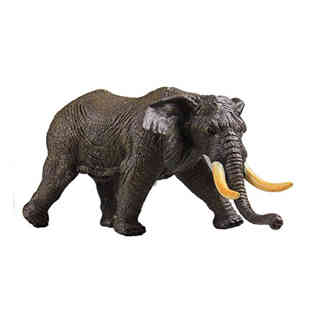 ريكور - الفيل ( لوكسودونتا أفريكانا )