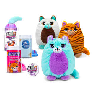 MISFITTENS - ASSORTMENT - CATS