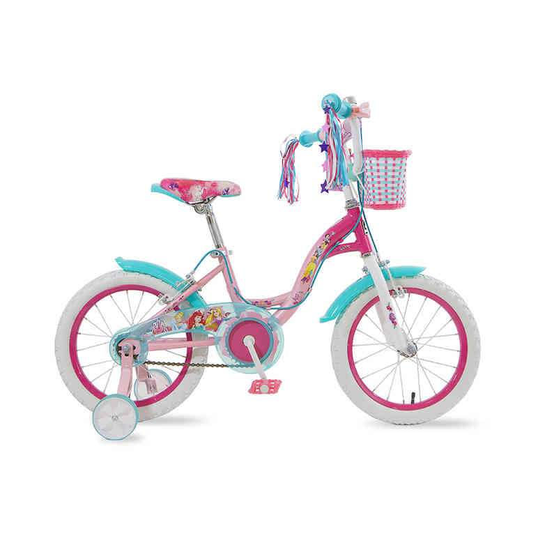 True on sale princess bike
