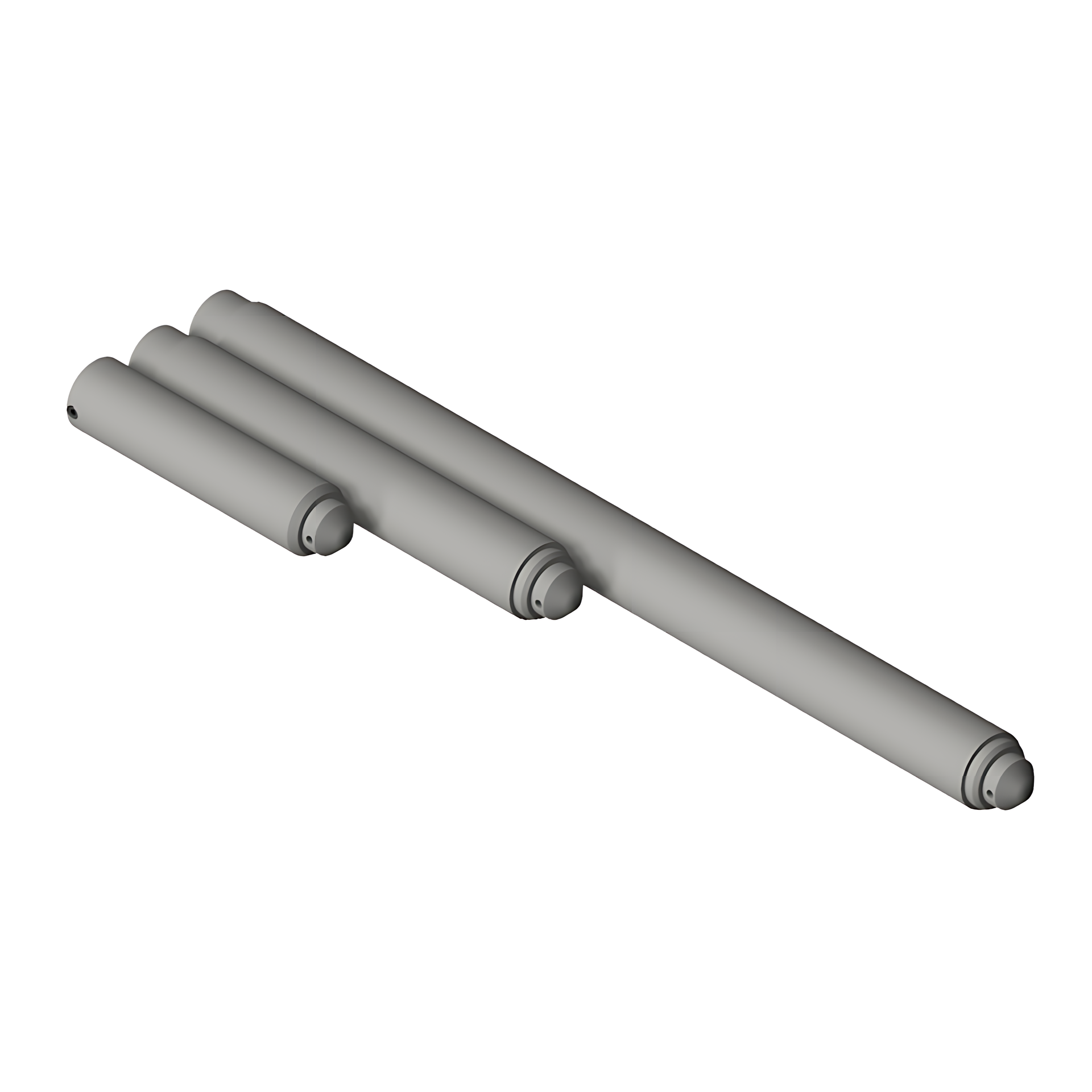 JANSEN Poids 10 kg 80 x 300 mm y.c. 1 vis