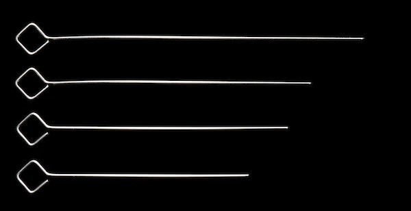 Sate Spies 18cm (200St) - 300G