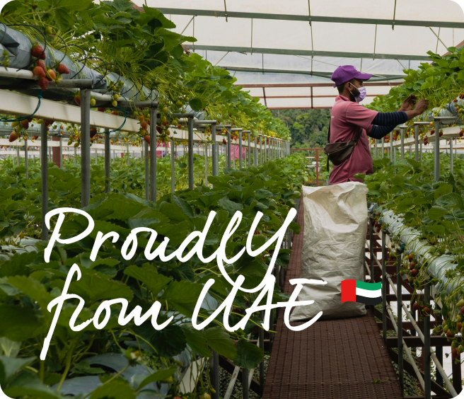 Get In Touch_Mobile.png