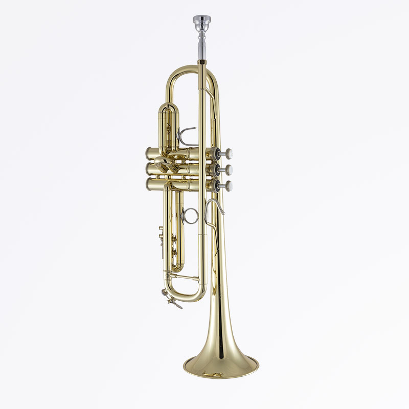 A bach trumpet