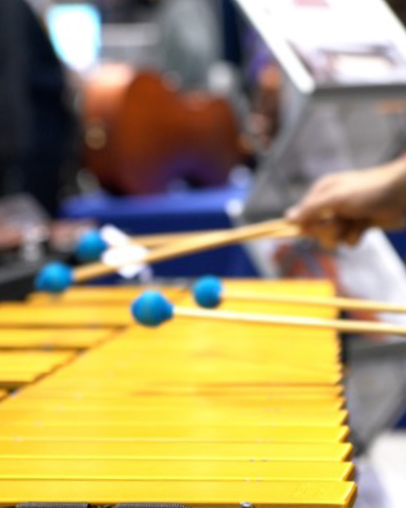 Closeup shot of a xylophone being played.